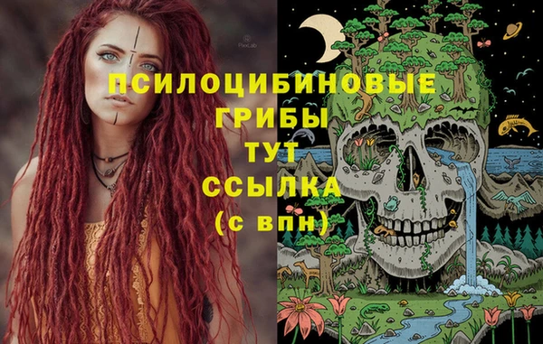 гидра Абдулино